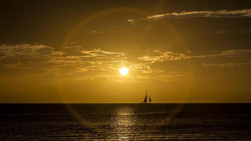 Golden Sky