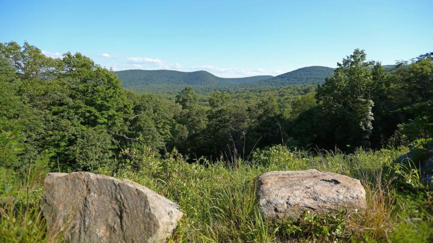 Green mountains