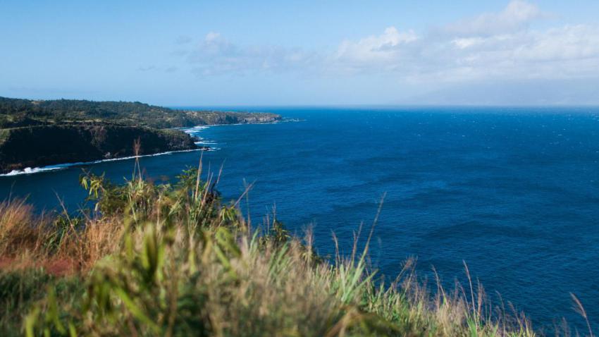 Hawaiian Lookout