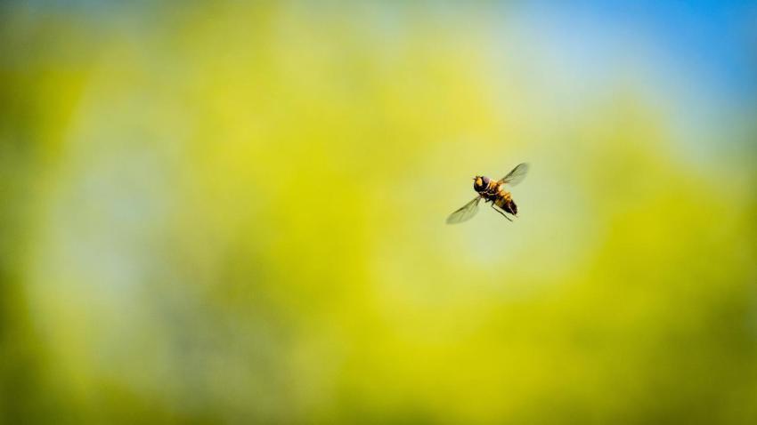 Hover2