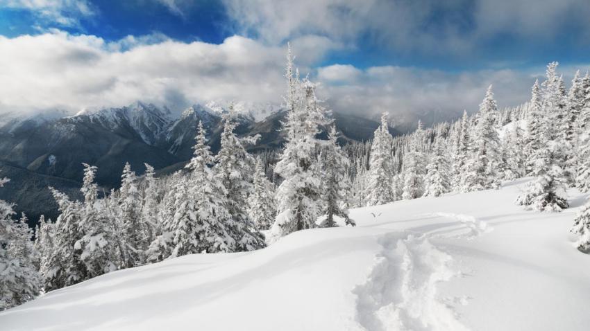 Hurricane Ridge