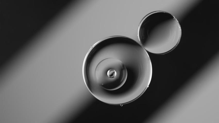 Inception