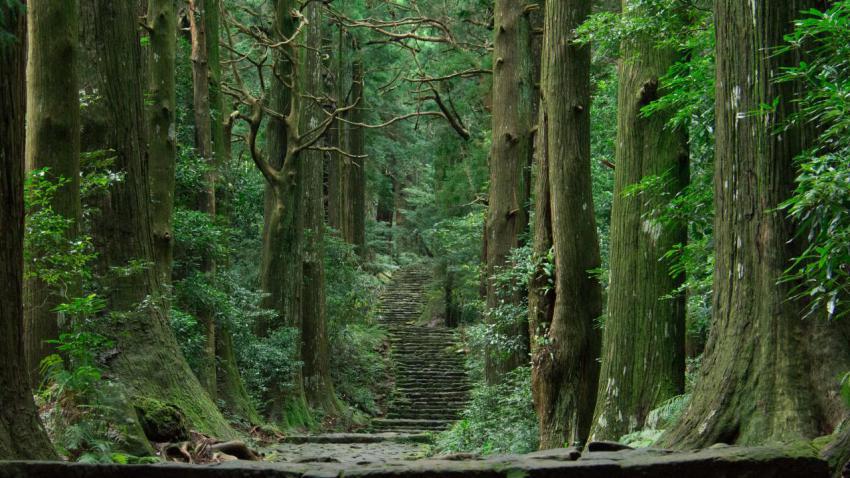 Kumano Kodo