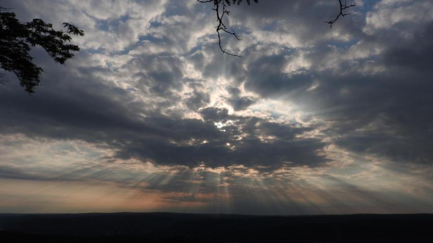 Light of Life