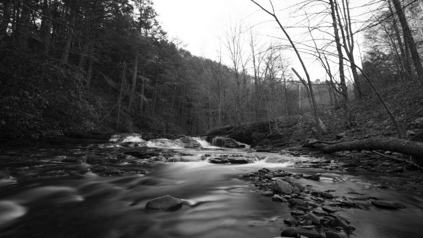 Little Fall BW