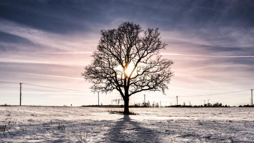 Long Winter Sunset