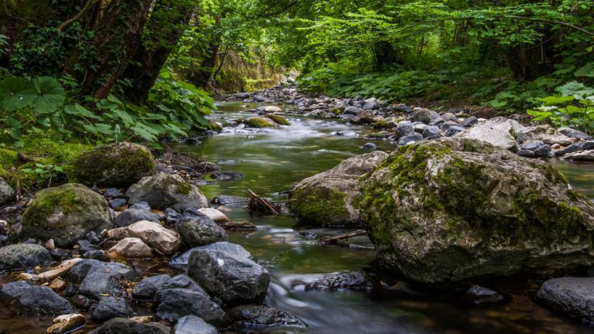 Magic River