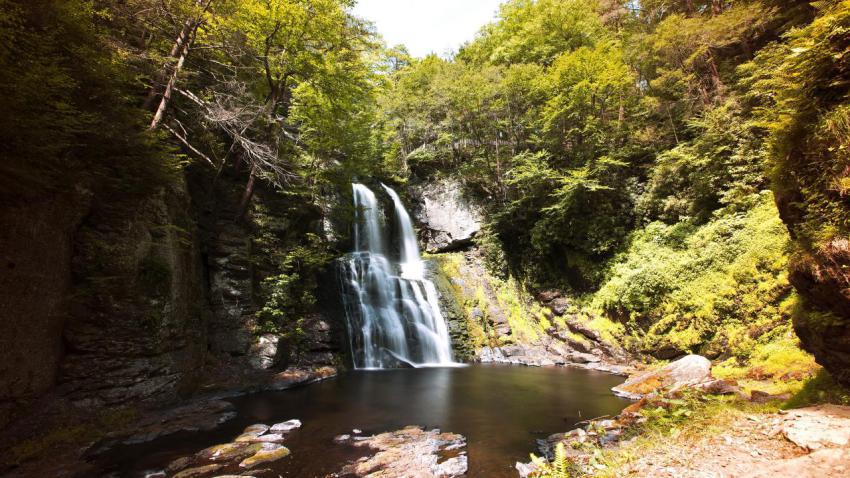 Main Fall at Bushkill Falls