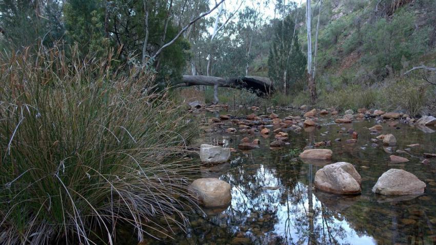 Mambray Creek South Australia