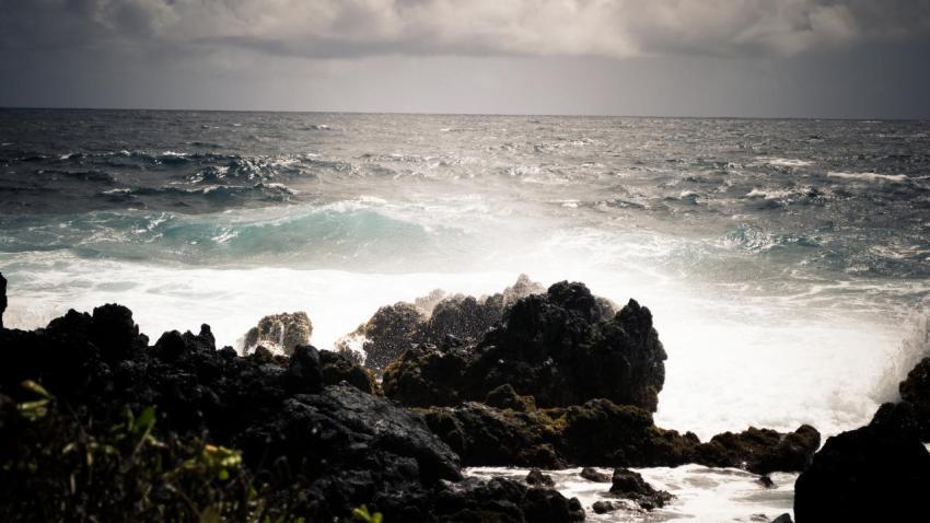Maui Coastline