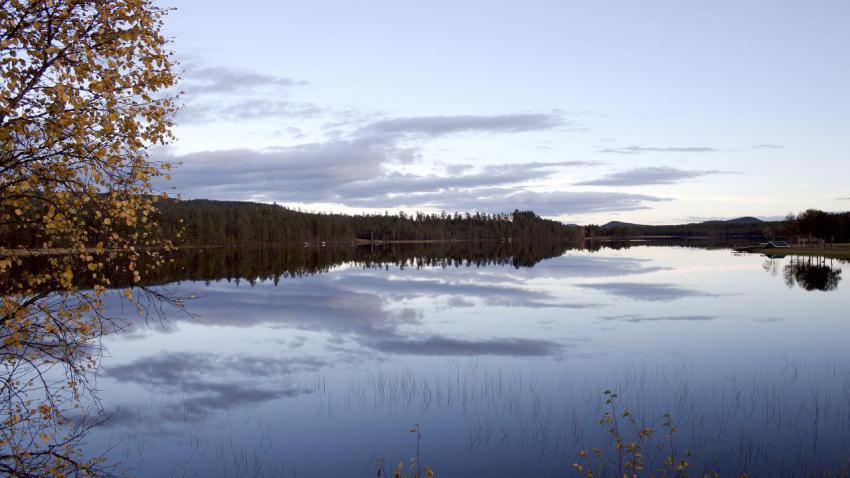 Mirror