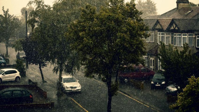 Monsoon in the suburbs