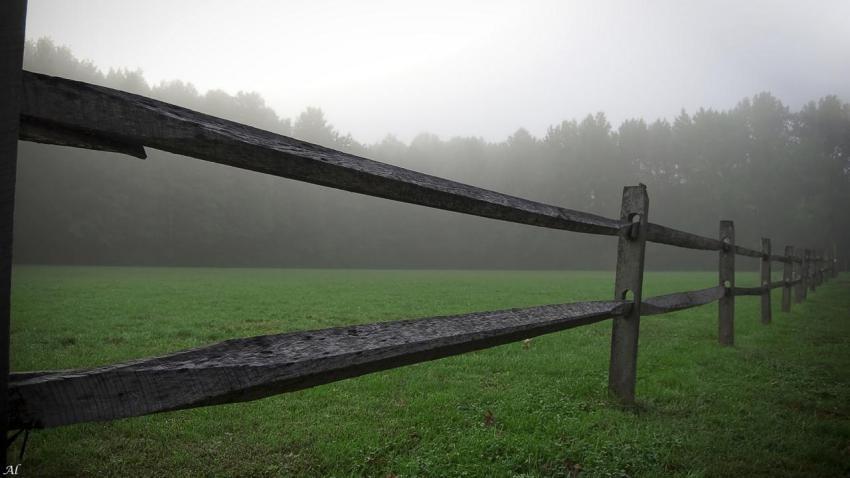 Morning Fog