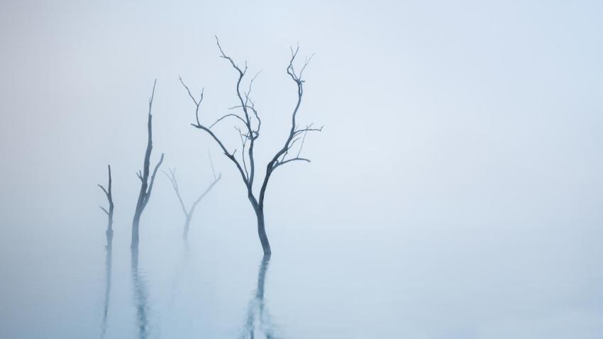 Mystical Four