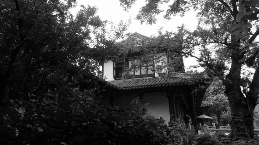 Nanjing Wals