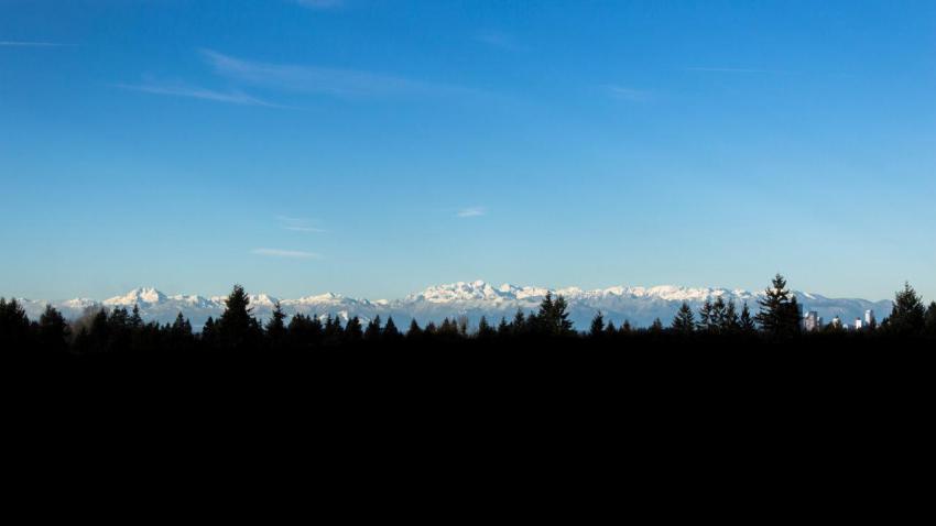 Newcastle's View of Seattle