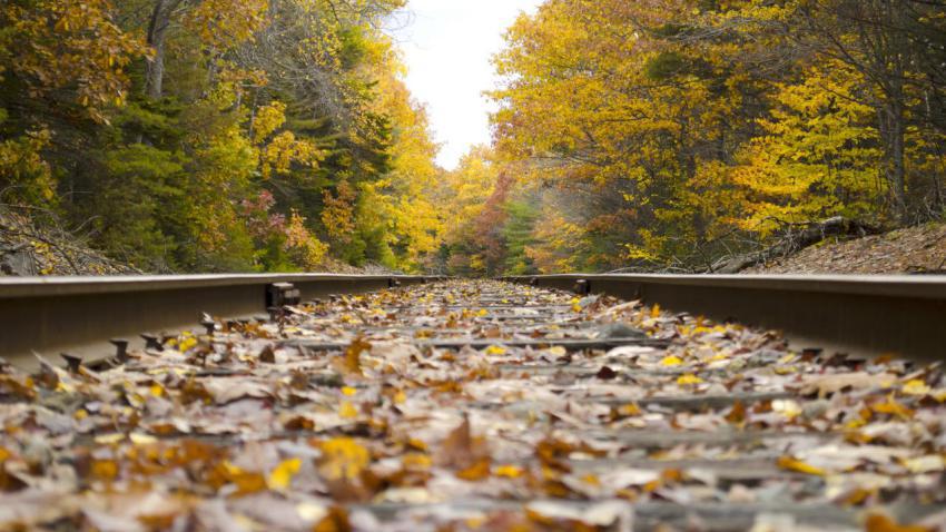 On The Tracks