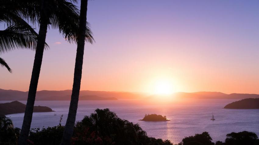 One Tree Hill Sunset