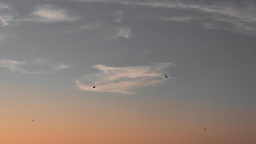 Peaceful Sunset2