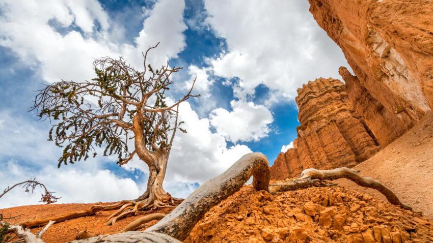 Peekaboo Loop Trail