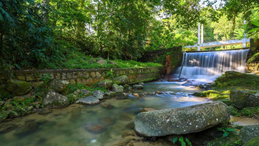 Penang Botanic Gardens