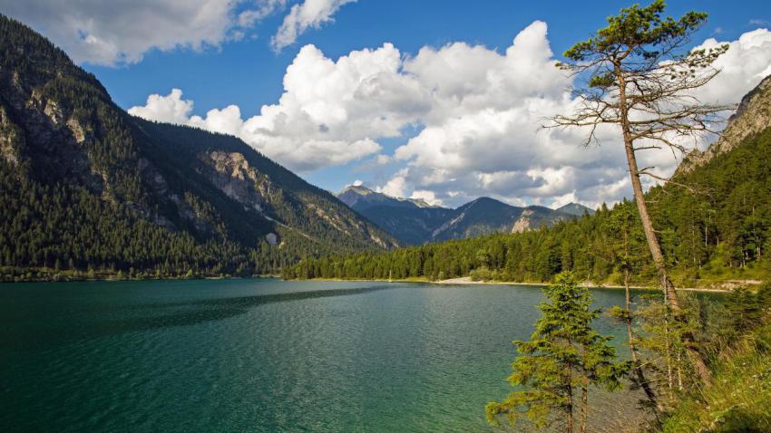 Plansee