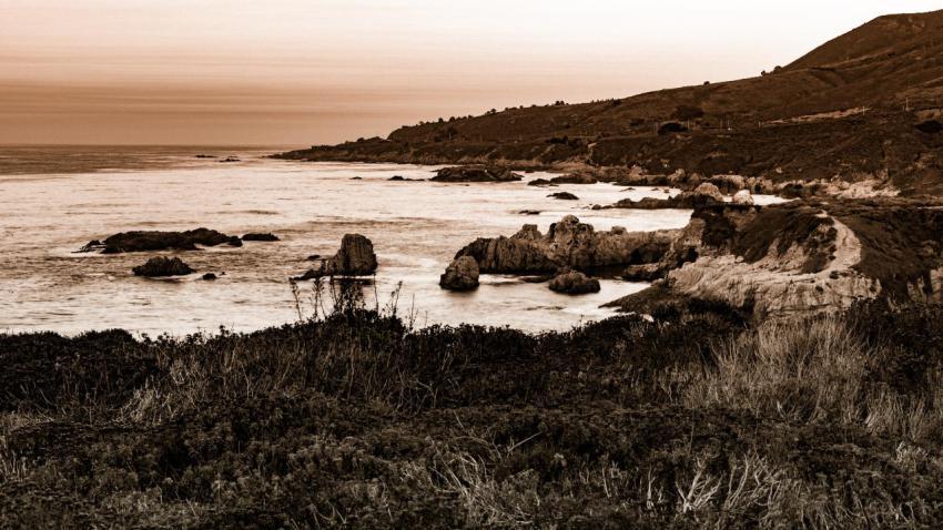 Point Lobos Coastline