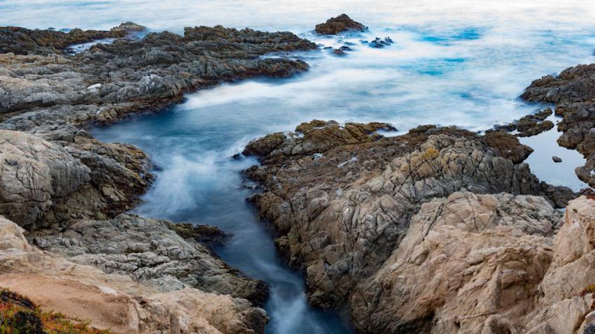 Point Lobos Cove