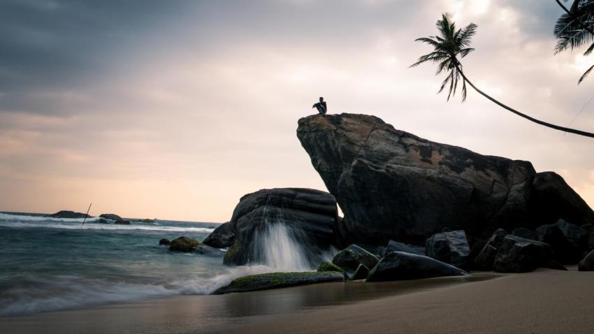 Pride Rock