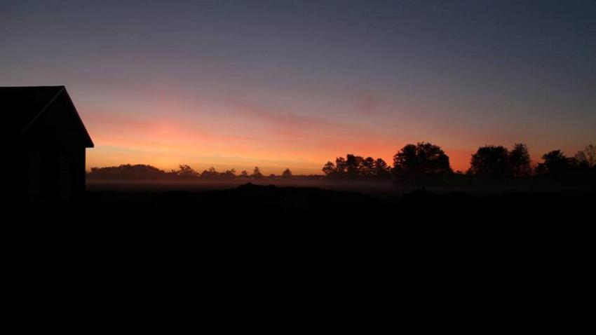 Radiation Fog