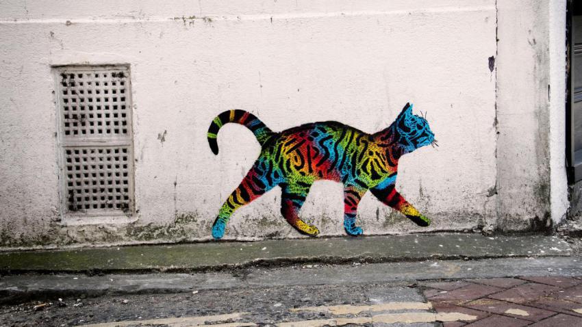 Rainbow Tag Cat
