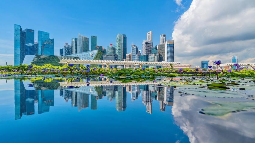 Reflections on Waterfront Promenade