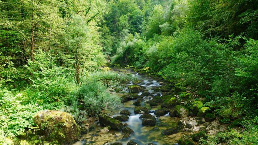 River Le Flumen