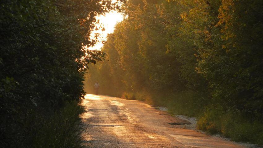 Road to nature in sunset