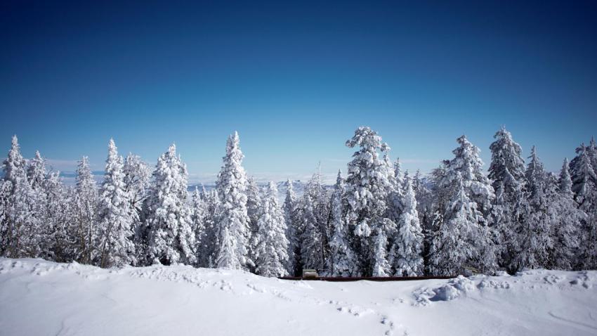 Sandia Crest