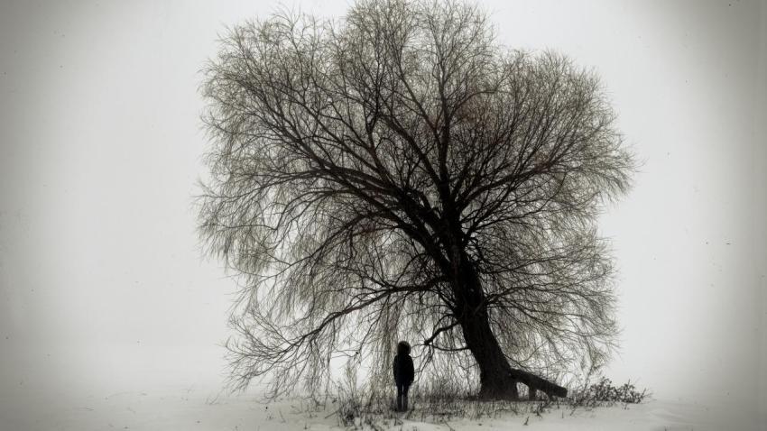 Silhouette In The Fog