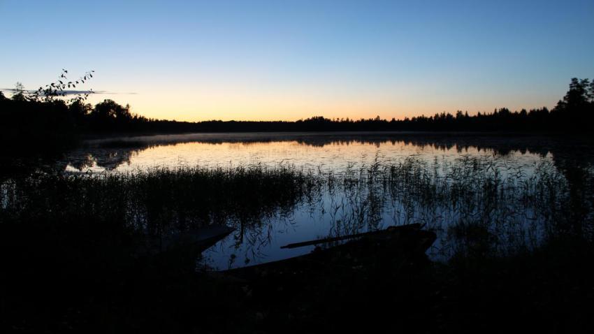 Skogaholmssjon