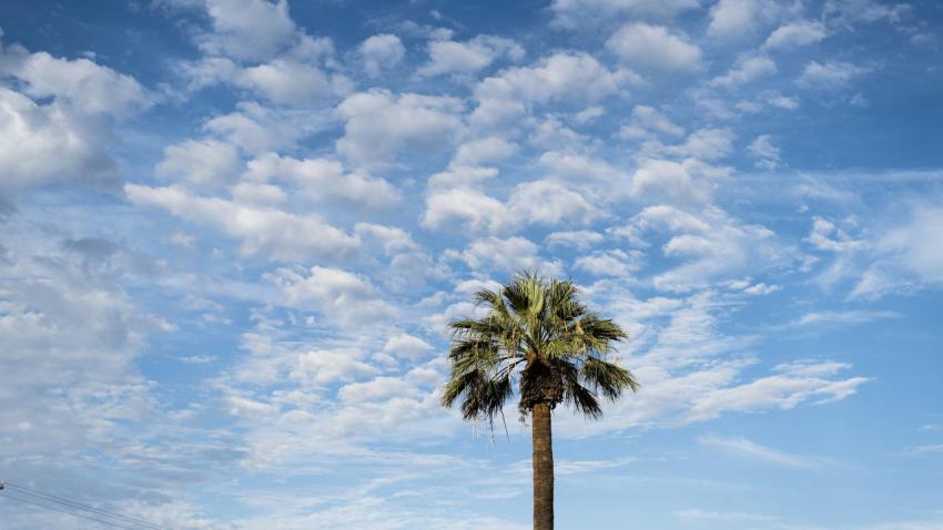 Sky
