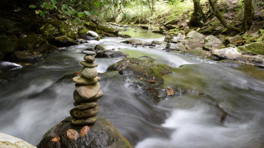 Smoky Mountain Zen