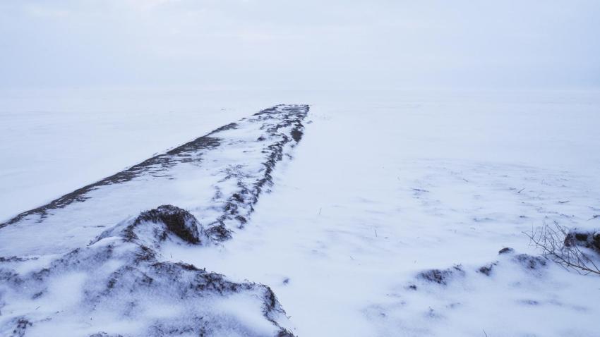 Snow Covered