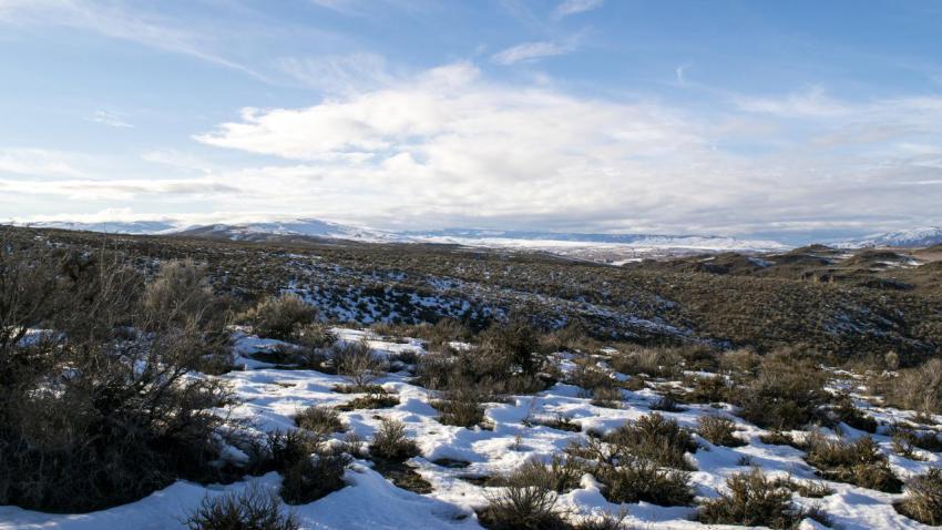 Snowy Hills