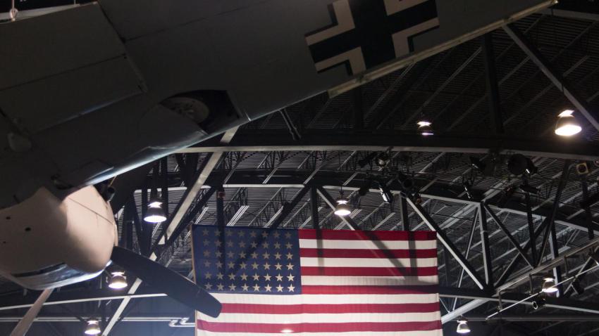 Steadfast Freedom