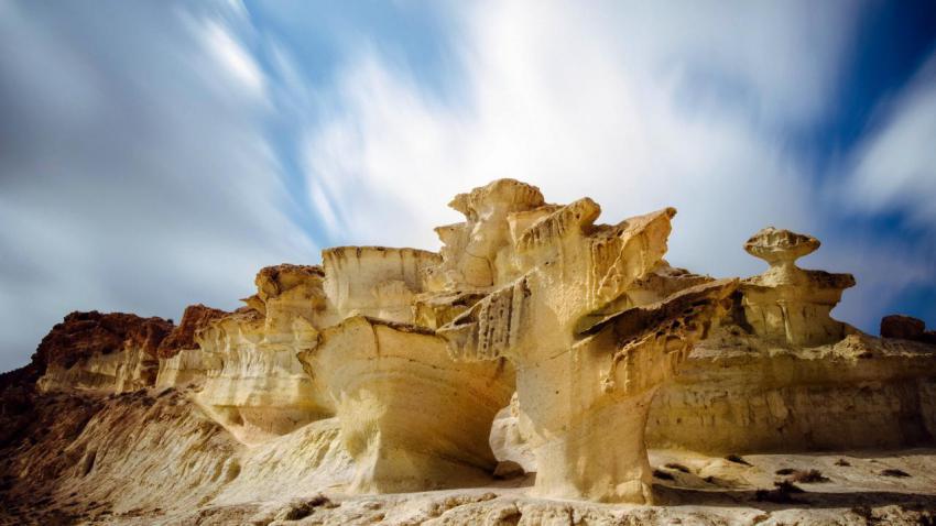 Stone Mushrooms