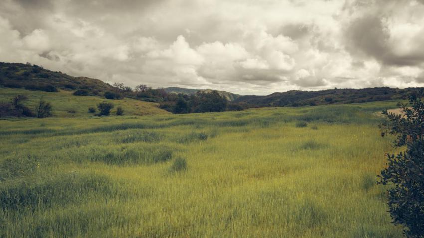 Stormy Hills