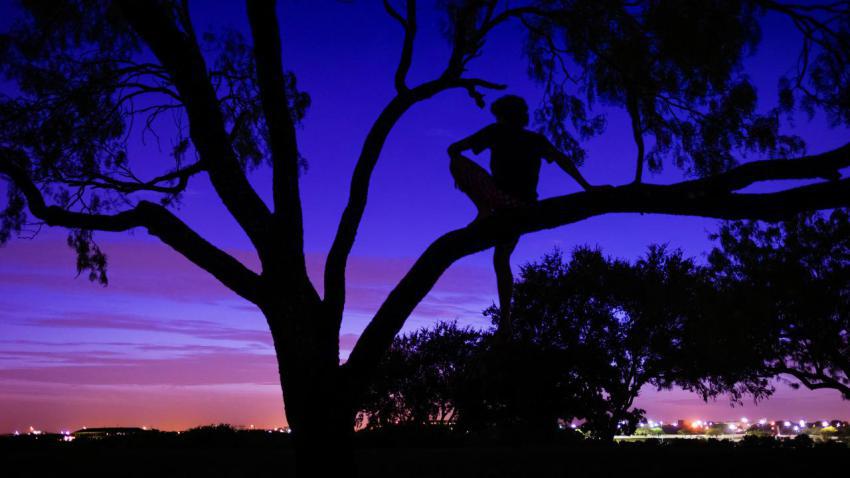 Summer Evening