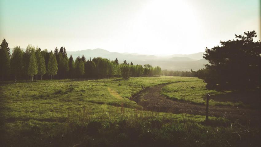 Summer in Flagstaff