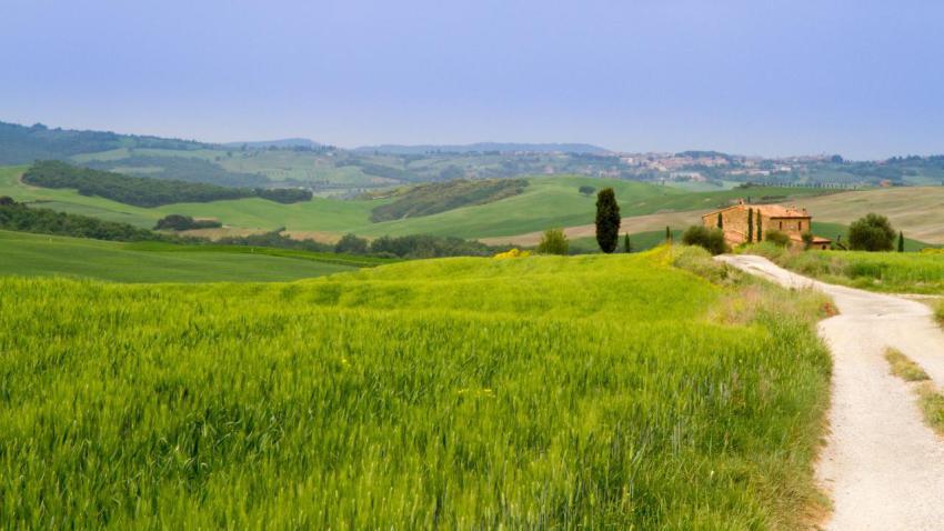 Summer in Tuscany
