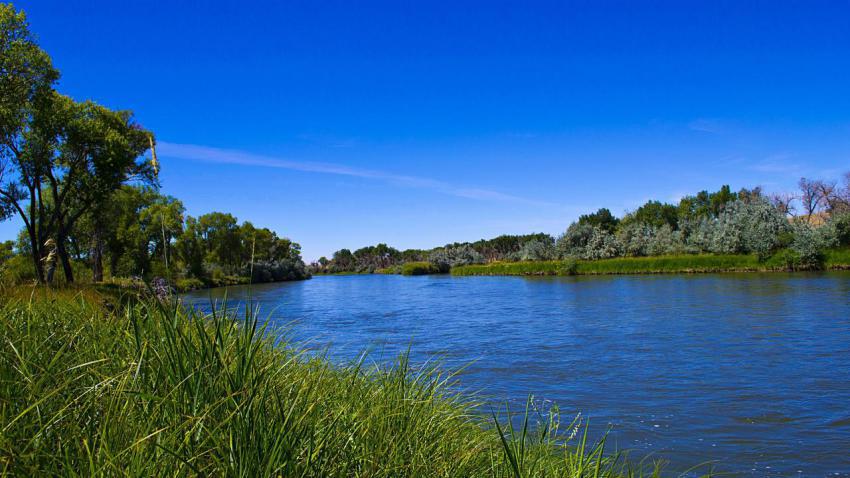 Sunny Afternoon on the North Platte River