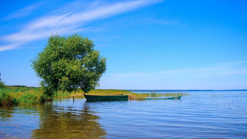 Sunny Day by the Lake