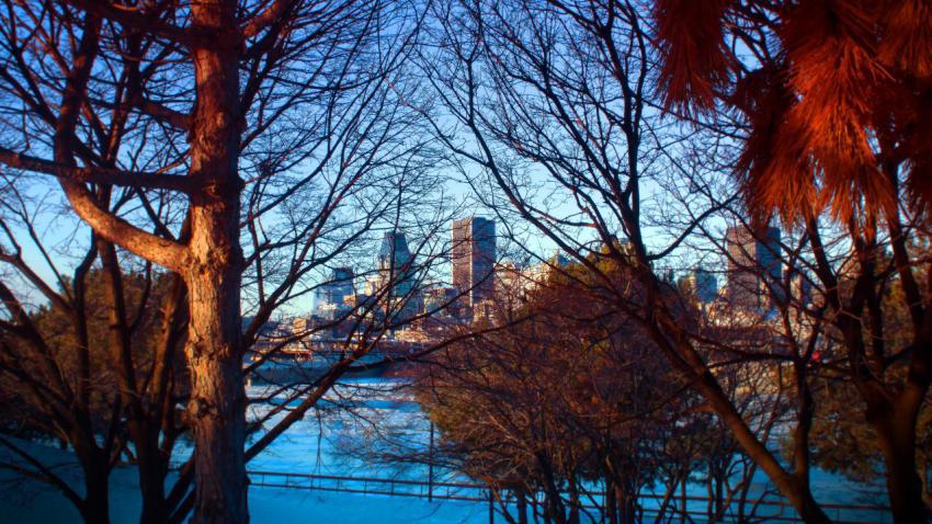 Sunrise Over Montréal